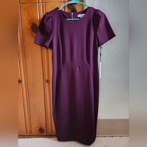 Calvin Klein Professional Dress Size 8